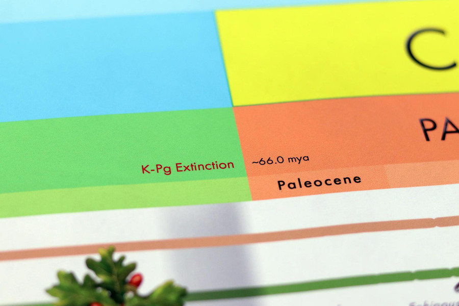 Timeline of Life - Adolescent Edition - Digital Printable