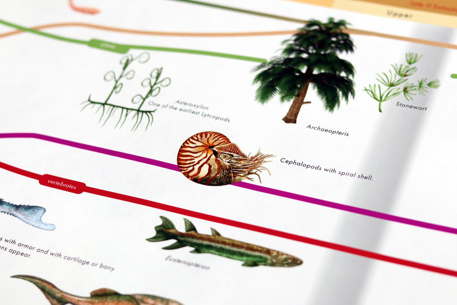 Timeline of Life - Adolescent Edition - Digital Printable
