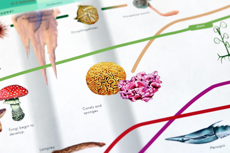 Timeline of Life - Adolescent Edition - Digital Printable