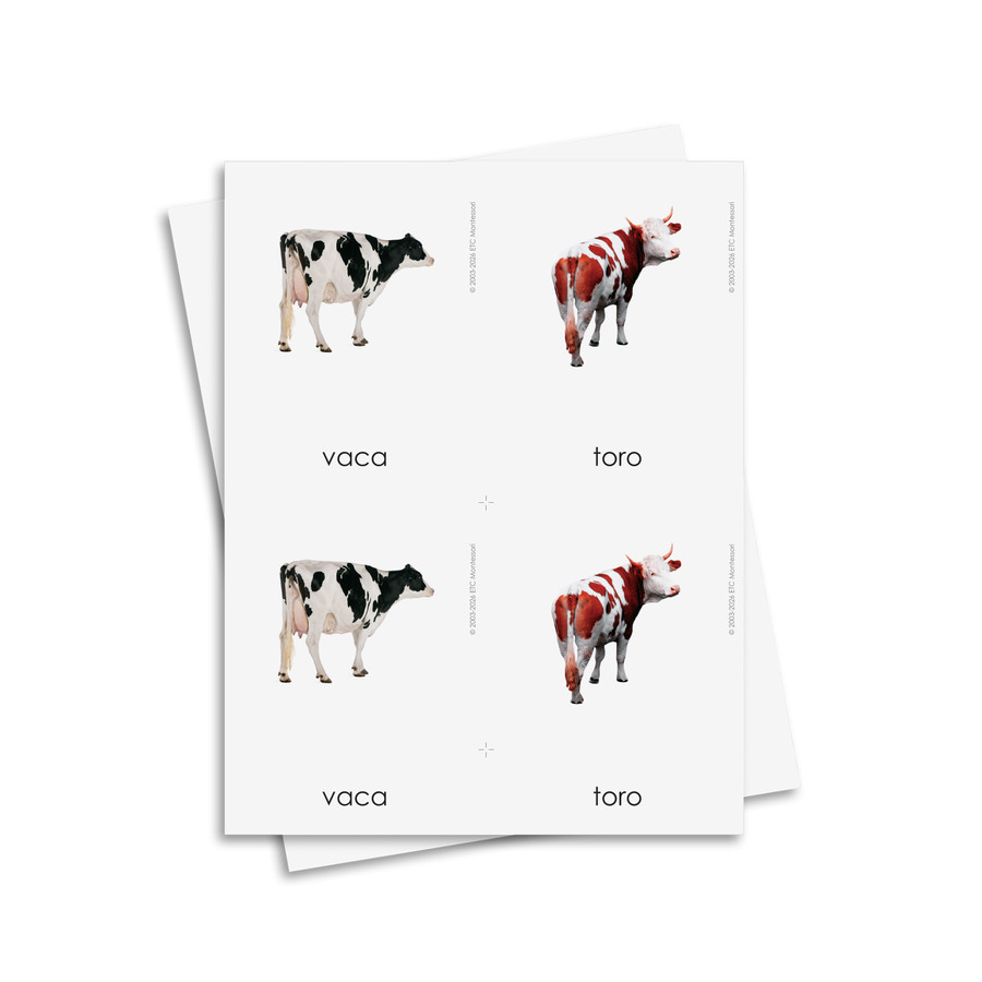 Tarjetas de masculino y femenino - material digital imprimible