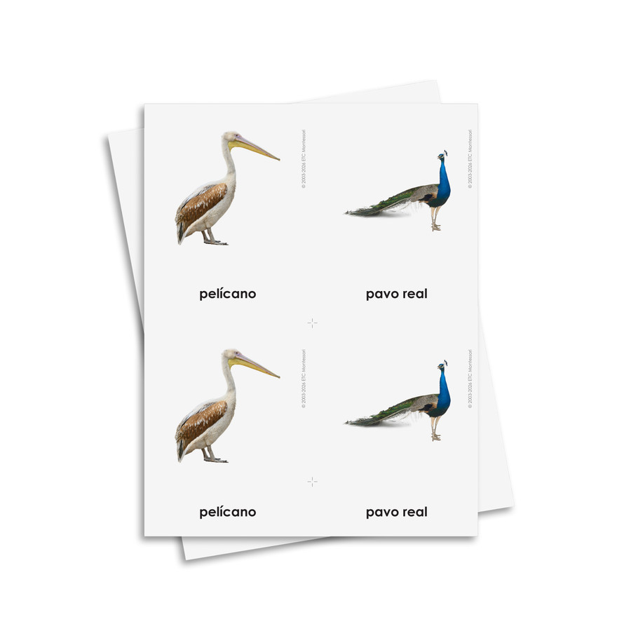 Tarjetas de tres partes de aves - material digital imprimible