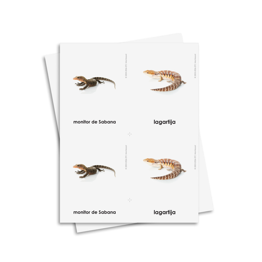 Tarjetas de tres partes de reptiles - material digital imprimible