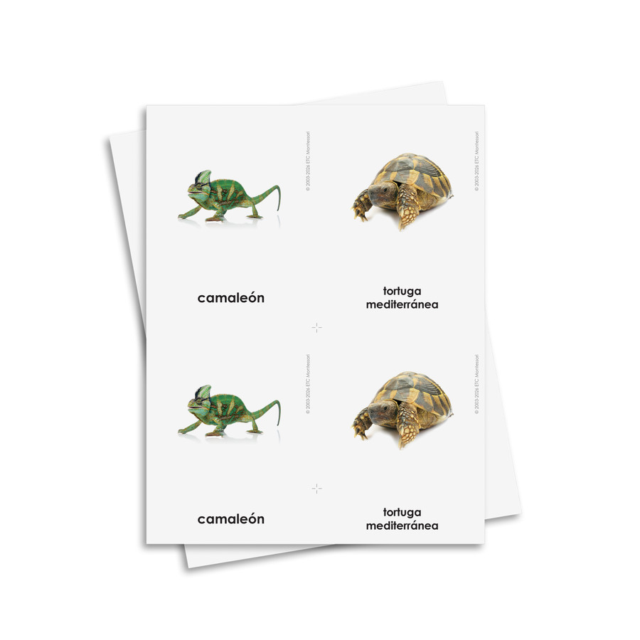 Tarjetas de tres partes de reptiles - material digital imprimible