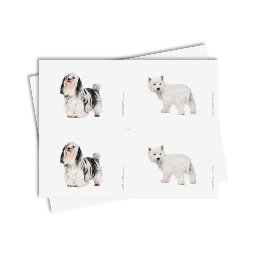 Tarjetas de asociación de perros - material digital imprimible