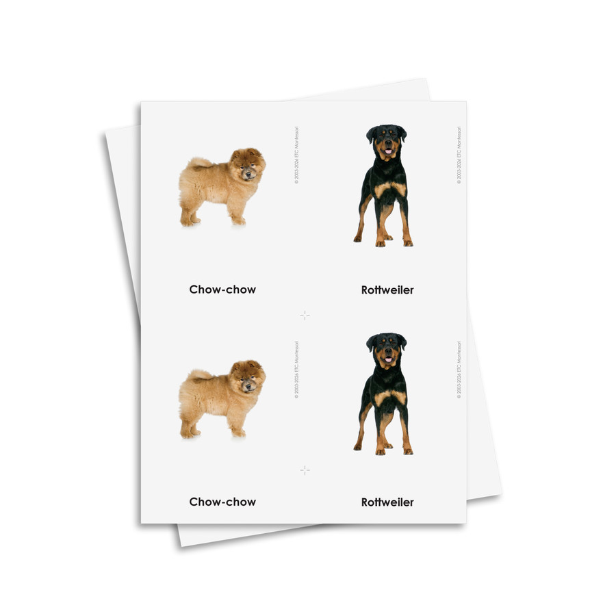 Tarjetas de tres partes de perros - material digital imprimible