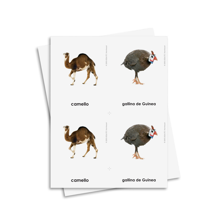 Tarjetas de tres partes de animales domésticos - material digital imprimible