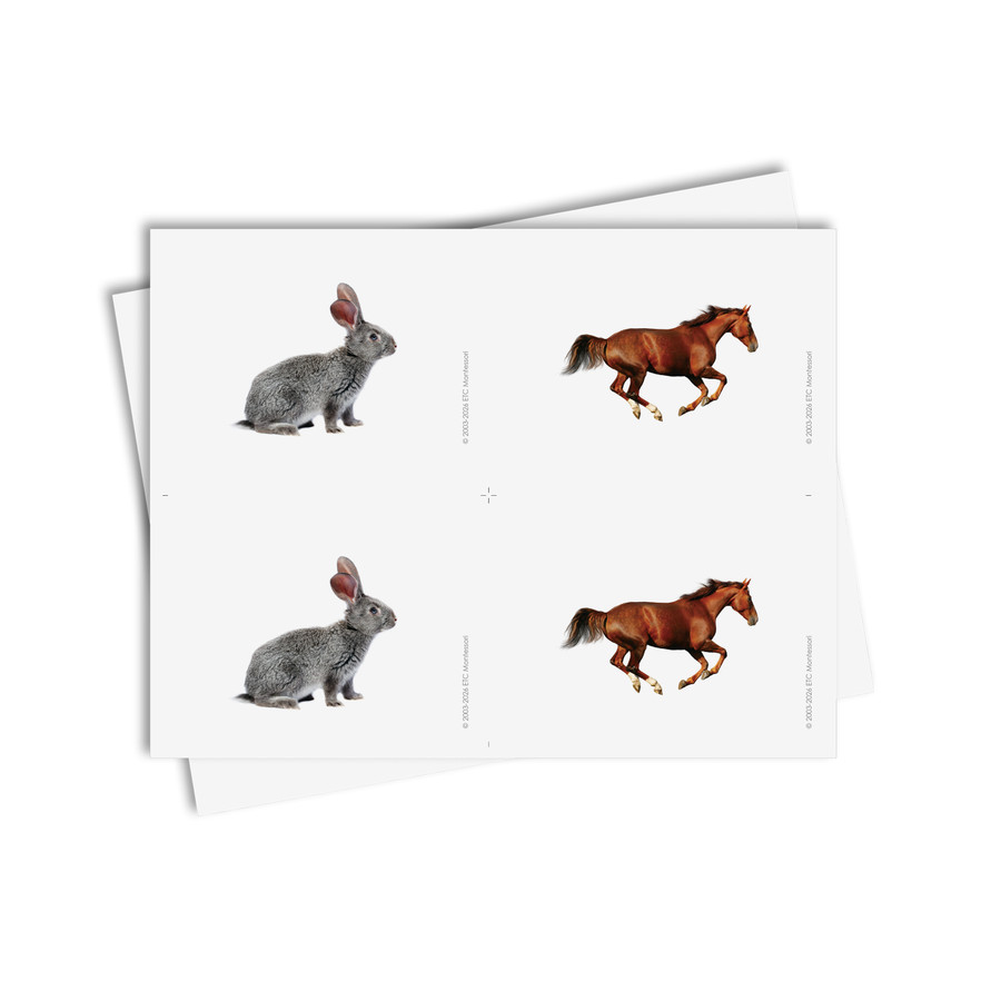 Tarjetas de asociación de animales domésticos - material digital imprimible