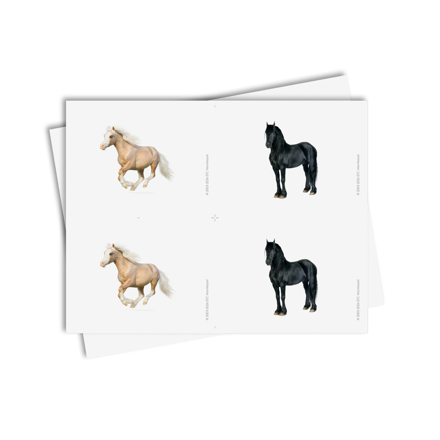 Tarjetas de asociación de caballos - material digital imprimible