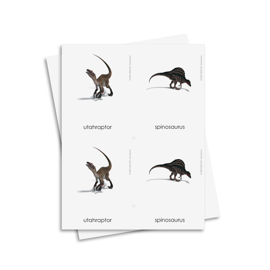 Tarjetas de tres partes de dinosaurios - material digital imprimible