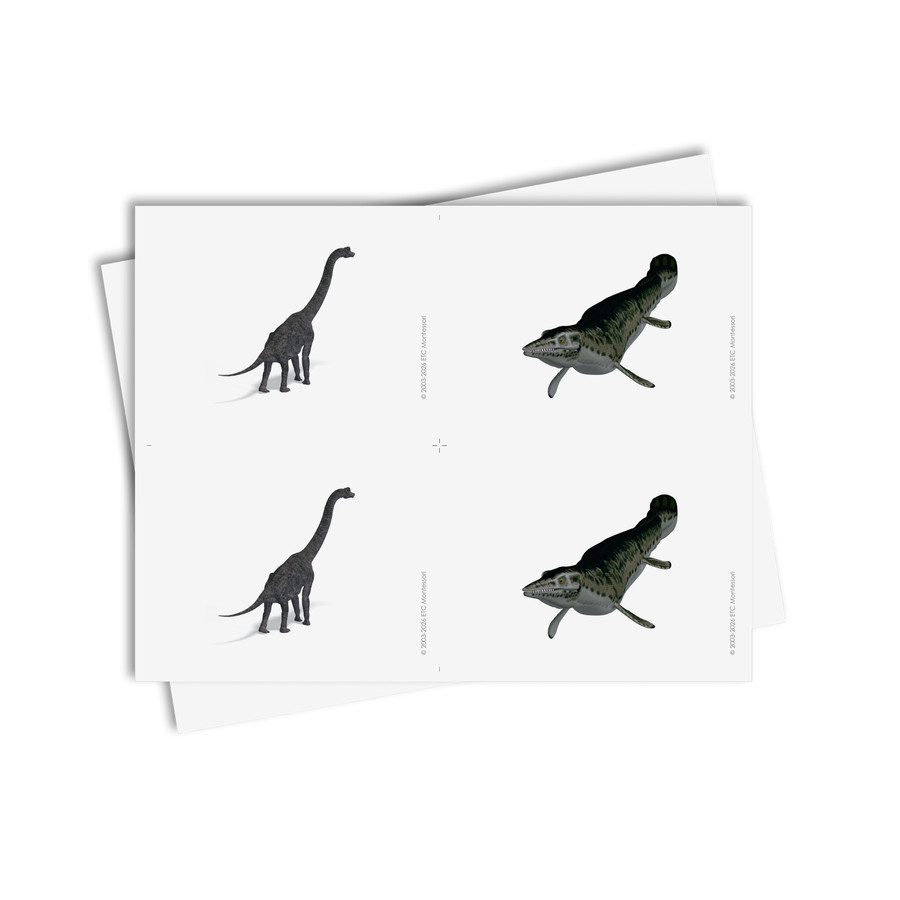 Tarjetas de asociación de dinosaurios - material digital imprimible
