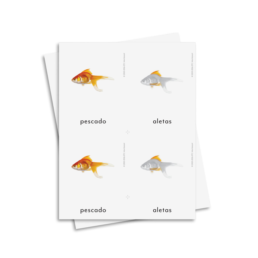 Partes del pez tarjetas de tres partes - material digital imprimible