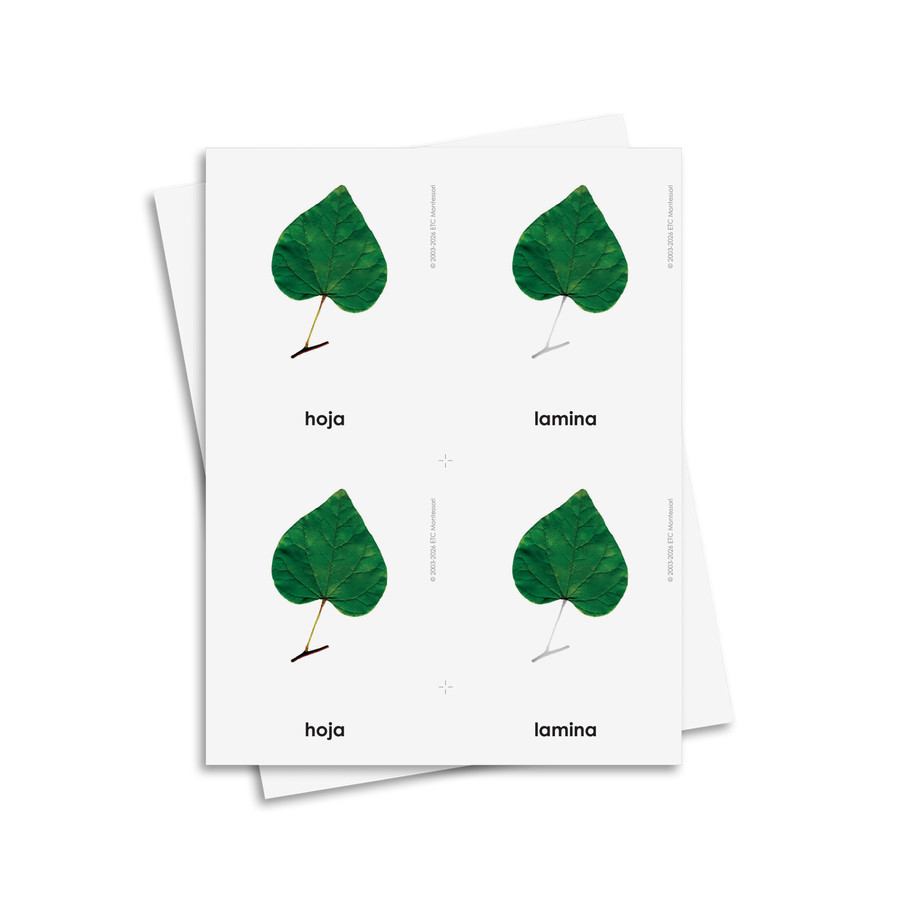 Partes de la hoja tarjetas de tres partes - material digital imprimible