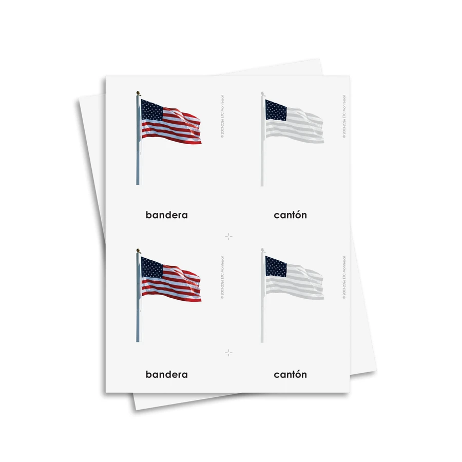 Partes de una bandera tarjetas de tres partes - material digital imprimible