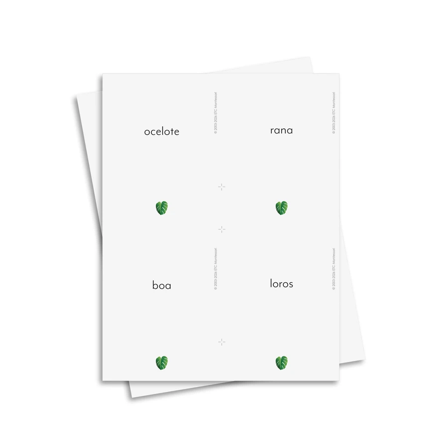 Biomas de animales y plantas - material digital imprimible
