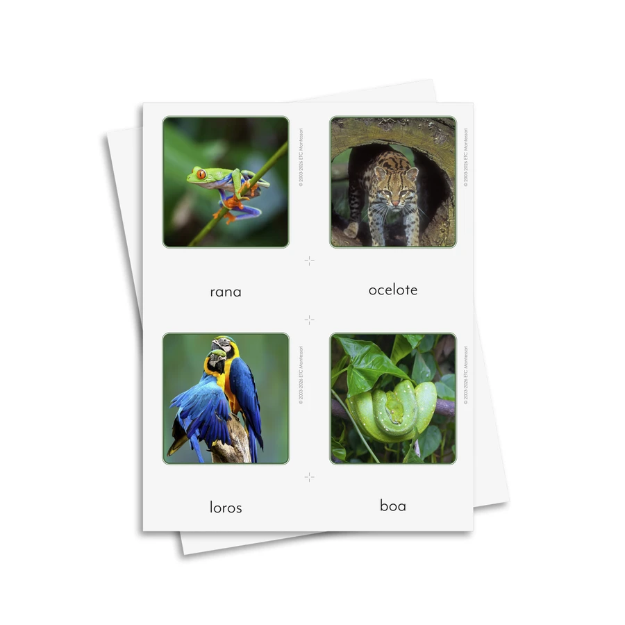 Biomas de animales y plantas - material digital imprimible