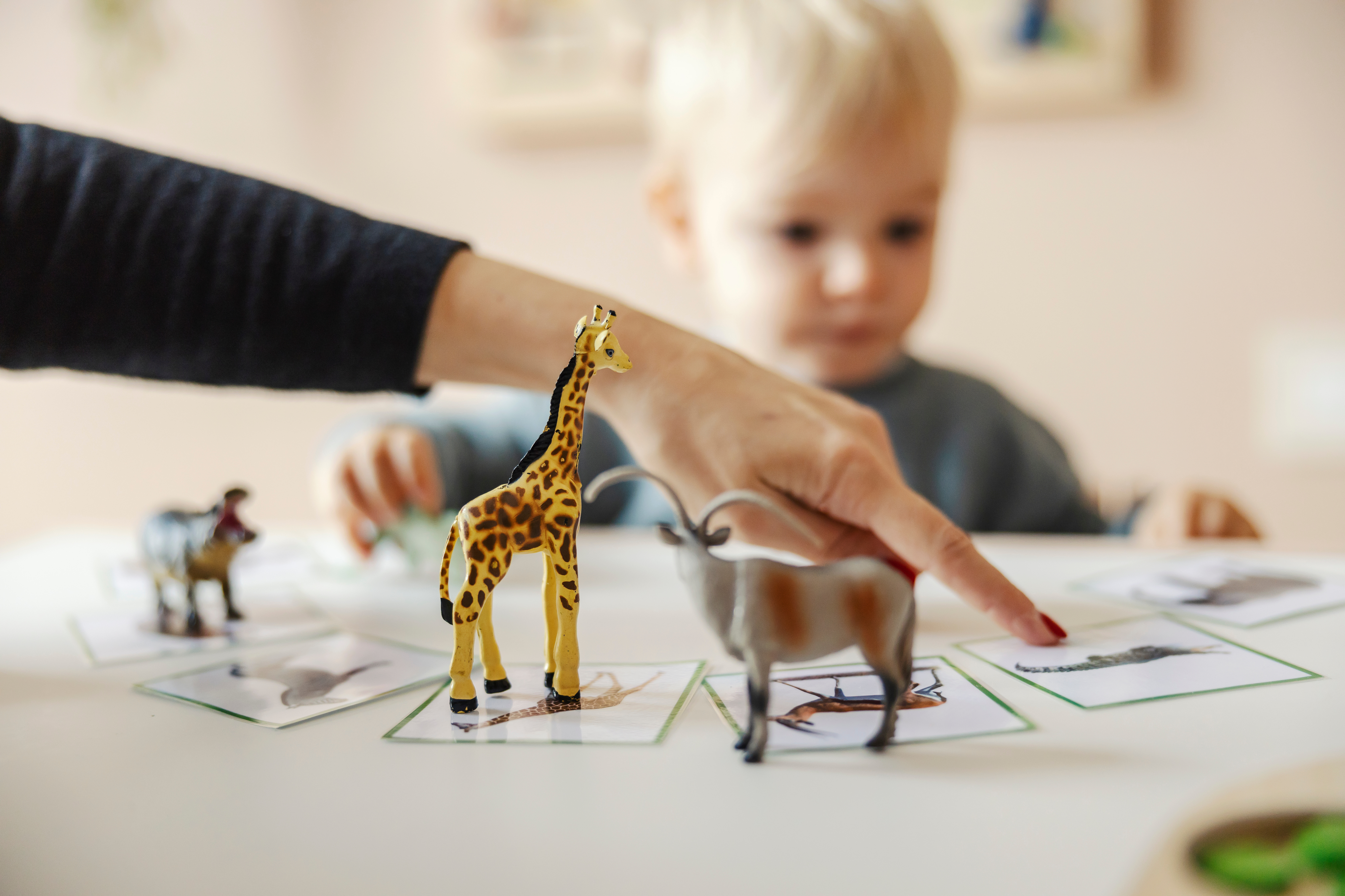 The Science of Reading and ETC Montessori's Approach - ETC Montessori ...