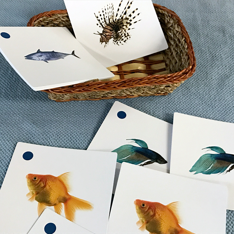 ETC Montessori printed materials showing fish matching cards