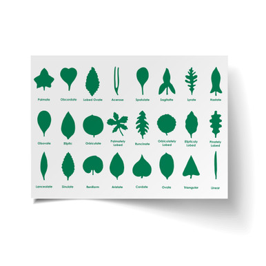 Botany Cabinet Control Chart