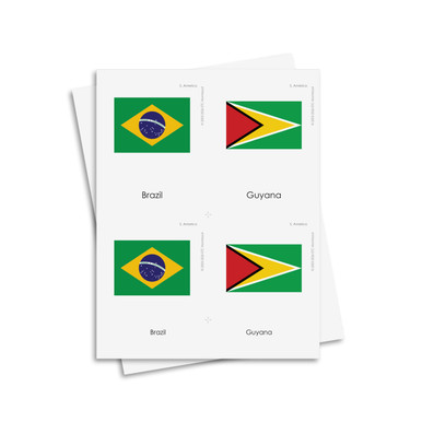 Flags of South America 3 Part Cards - Digital Printable | ETC Montessori