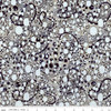 Riley Blake Designs - Splatter by Expressions - BT23395-164 (Continuous 5 yard cut)