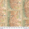 Free Spirit Fabrics - Orange Palette by Tim Holtz - PWTH233.ORANGE - Orange Map