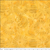 Riley Blake Designs - Starburst Grove by Expressions Batiks - BT23576-255
