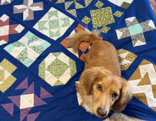 Stitching Across America: A Floral Journey in Fabric