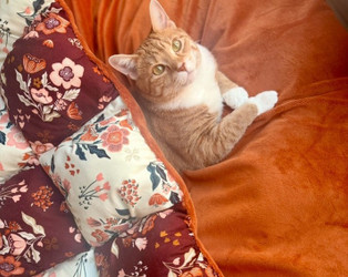 Puffy Quilts