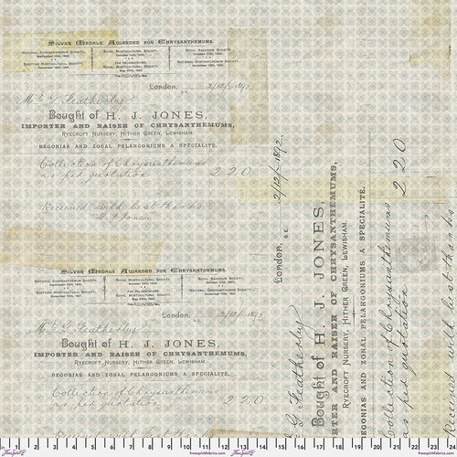 Free Spirit Fabrics - Foundations by Tim Holtz - PWTH094.AQUAX - Horticulture