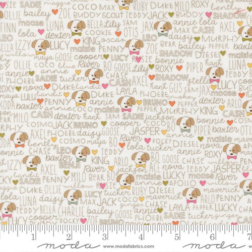 Moda Fabrics - Lucky by Sweetwater - 55702-11