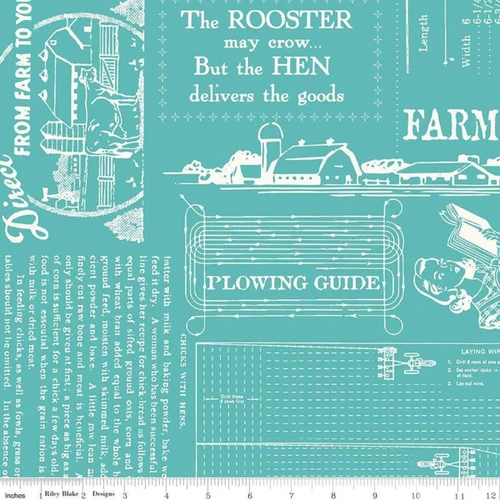 Wideback Fabric (108") - Riley Blake Designs - Farm Girl Vintage by Lori Holt - WB-7887-COTTAGE