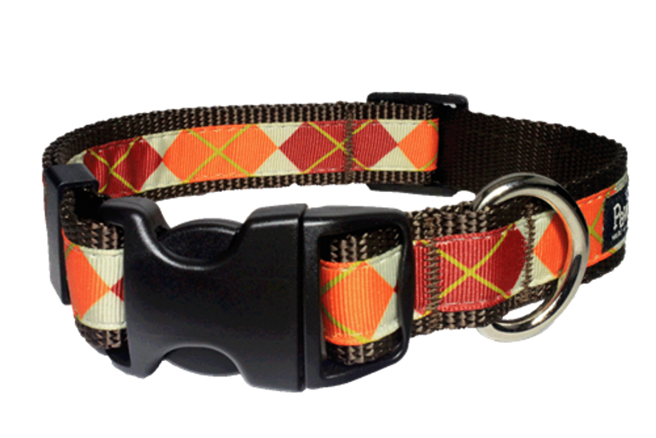 Designer Dog Collar 