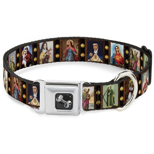 BUCKLE DOWN DOG COLLARS | Great Style with Seatbelt Clasp