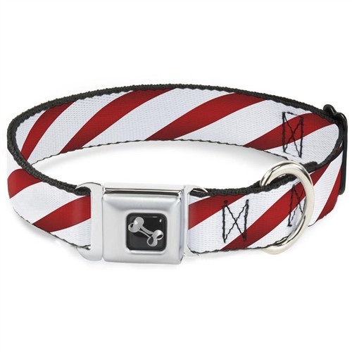  Buckle-Down Seatbelt Buckle Dog Collar - Dead Men Tell No Tales  Black - 1.5 Wide - Fits 13-18 Neck - Small : Everything Else