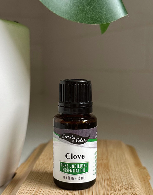 Clove Essential Oil 15 ml Reg $19.95  One day only Unadvertised Special $9.95