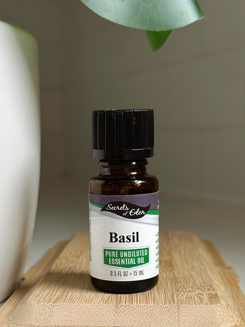 Basil Essential Oil 15 ML