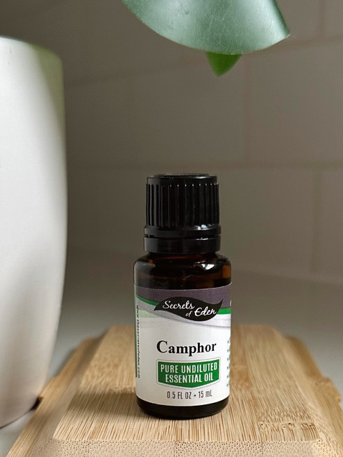 Camphor Essential Oil 15 ML