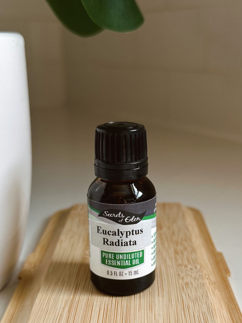 Eucalyptus Radiata Essential Oil 15 ML