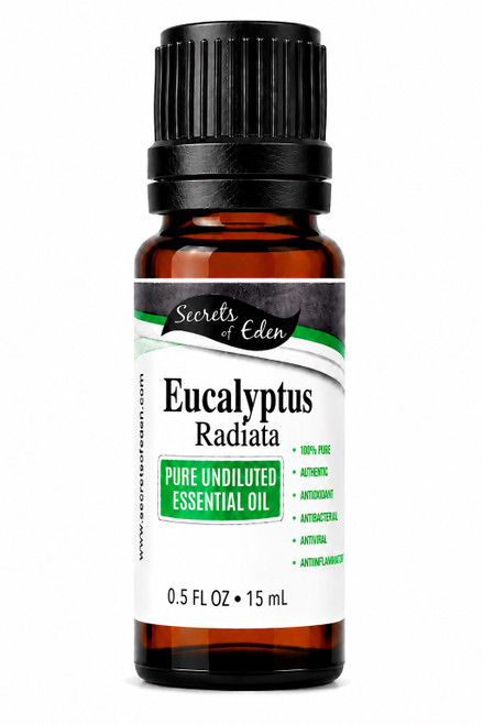 Eucalyptus Radiata Essential Oil 15 ML