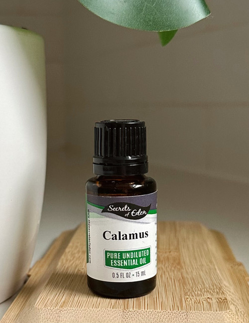 Calamus Essential Oil 15 ml