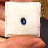 Montana Yogo Sapphire Loose Stone Oval