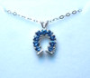 Montana Yogo Sapphire Horseshoe Pendant