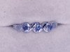 Montana Yogo Sapphire 3 Stone 14K White Gold Ring