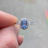 Montana Yogo Sapphire Oval & Diamond Halo Ring 14K White Gold