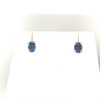 Montana Yogo Sapphire Oval Stud Earrings 14K White Gold