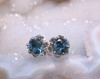 Montana Sapphire 6 Prong Buttercup Earrings Sterling Silver