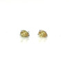 Montana Sapphire Pear 14K White Gold Earrings in Yellow 