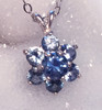 Montana Sapphire Flower Pendant 