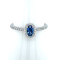 Montana Yogo Sapphire Oval & Diamond Halo Ring 14K White Gold