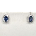 Montana Yogo Sapphire Oval & Diamond Halo Stud Earrings 18K White Gold